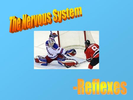 The Nervous System -Reflexes.