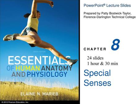 8 24 slides 1 hour & 30 min Special Senses.