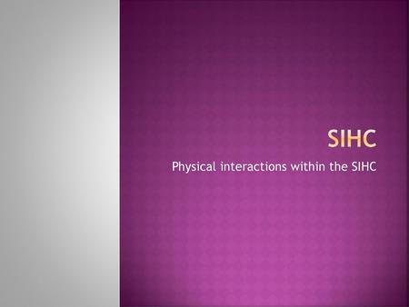 Physical interactions within the SIHC