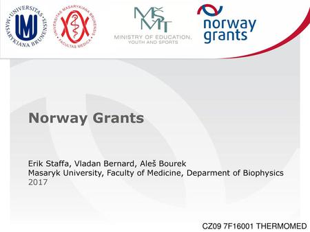 Norway Grants Erik Staffa, Vladan Bernard, Aleš Bourek