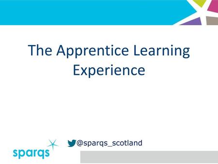 The Apprentice Learning Experience