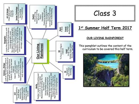 Class 3 1st Summer Half Term 2017 Our Living Rainforest