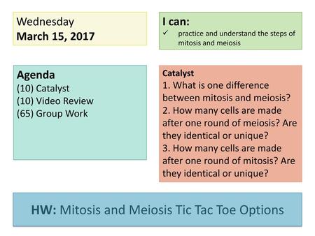 HW: IP: Mitosis & Meiosis *Signed Progress Report and Quiz: Friday!*