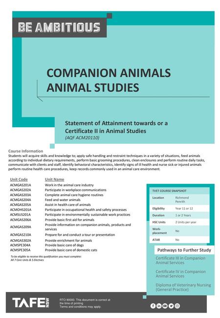 Companion Animals Animal Studies