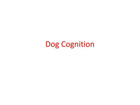 Dog Cognition.