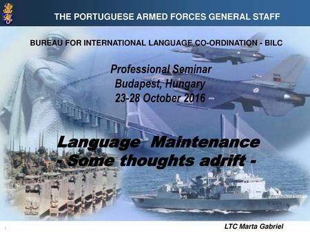 Language Maintenance - Some thoughts adrift -