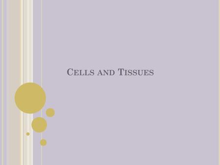 Cells and Tissues.