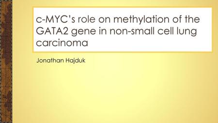 C-MYC’s role on methylation of the GATA2 gene in non-small cell lung carcinoma Jonathan Hajduk.