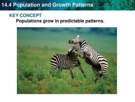 KEY CONCEPT  Populations grow in predictable patterns.