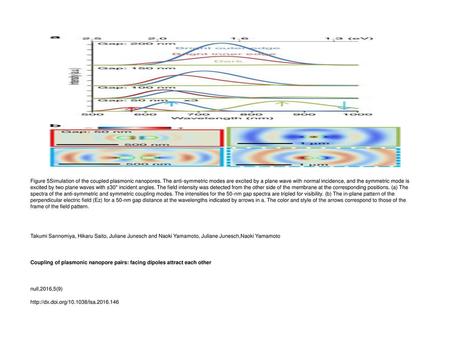 Figure 5Simulation of the coupled plasmonic nanopores