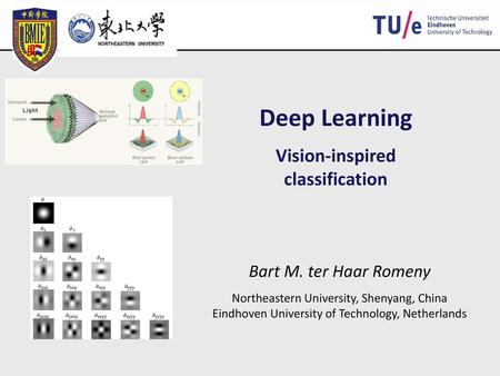 Vision-inspired classification