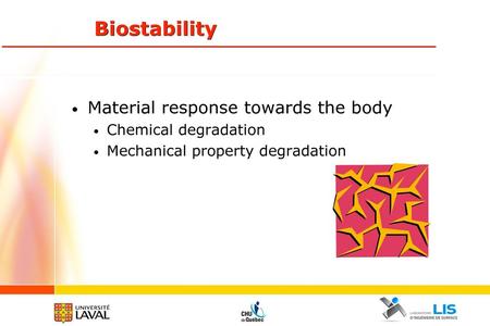 Biostability Material response towards the body Chemical degradation