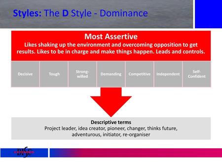 Styles: The D Style - Dominance