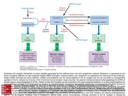 Synthesis and receptor interactions of active peptides generated by the kallikrein-kinin and renin-angiotensin systems. Bradykinin is generated by the.