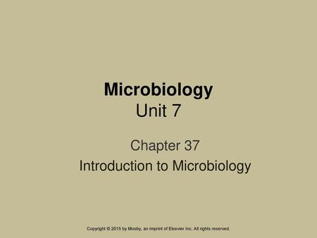 Chapter 37 Introduction to Microbiology