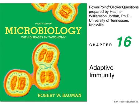 16 Adaptive Immunity.