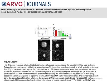 From: Reliability of the Mouse Model of Choroidal Neovascularization Induced by Laser Photocoagulation Invest. Ophthalmol. Vis. Sci.. 2014;55(10):6525-6534.