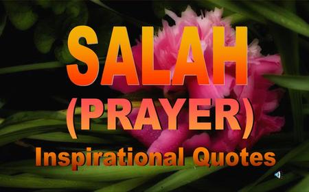 SALAH (PRAYER) Inspirational Quotes.