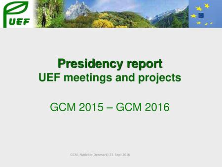 UEF meetings and projects