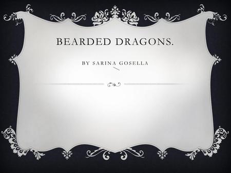 Bearded Dragons. by Sarina gosella