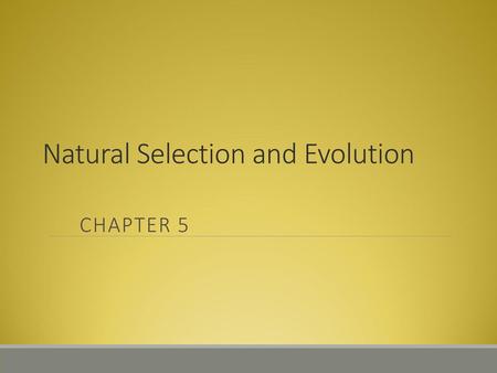 Natural Selection and Evolution