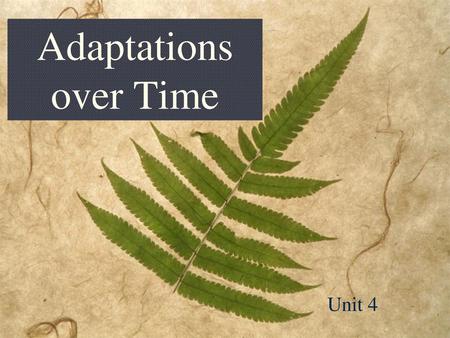 Adaptations over Time Unit 4.