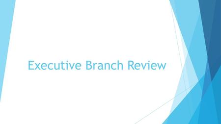 Executive Branch Review