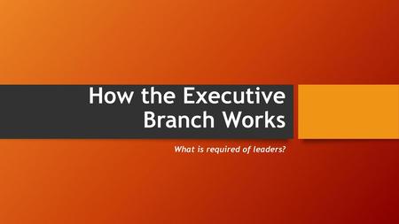 How the Executive Branch Works