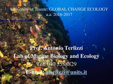 Lab of Marine Biology and Ecology