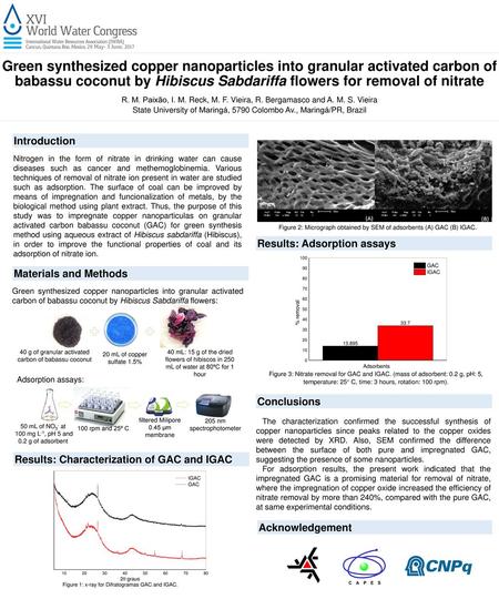 Green synthesized copper nanoparticles into granular activated carbon of babassu coconut by Hibiscus Sabdariffa flowers for removal of nitrate R. M. Paixão,