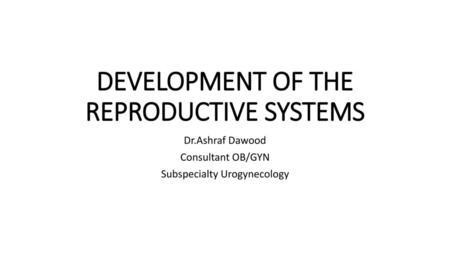 DEVELOPMENT OF THE REPRODUCTIVE SYSTEMS