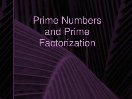 Prime Numbers and Prime Factorization