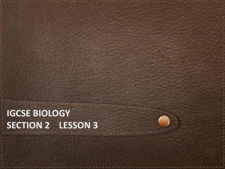 iGCSE Biology Section 2 lesson 3