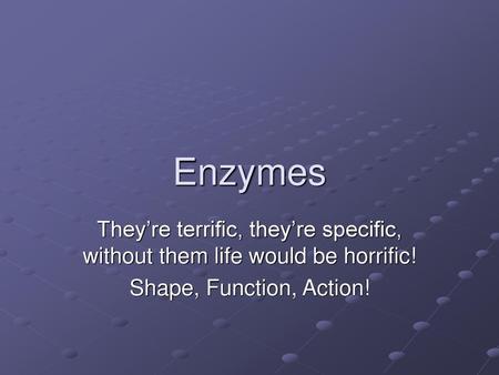 Enzymes They’re terrific, they’re specific, without them life would be horrific! Shape, Function, Action!