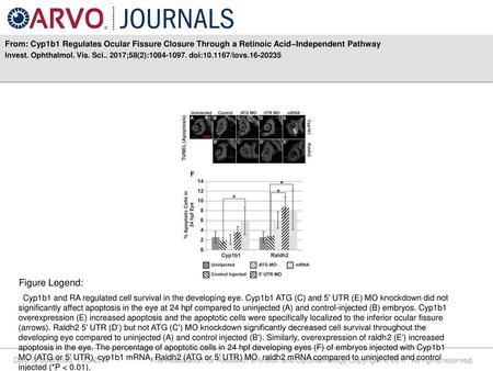 Invest. Ophthalmol. Vis. Sci ;58(2): doi: /iovs Figure Legend: