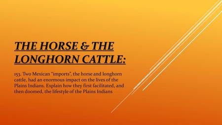 The Horse & The LongHorn Cattle: