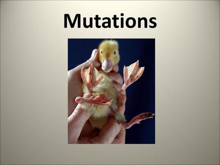 Mutations.