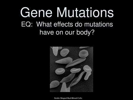 Gene Mutations EQ: What effects do mutations have on our body?