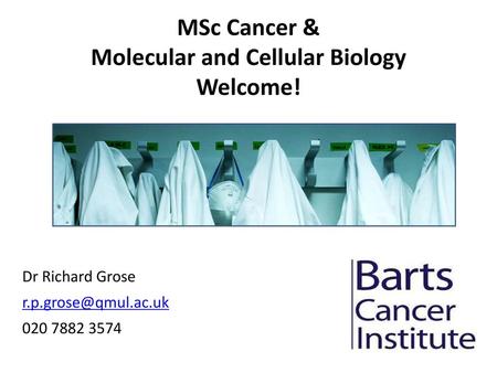 MSc Cancer & Molecular and Cellular Biology Welcome!