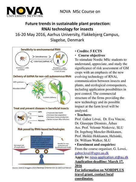 RNAi technology for insects