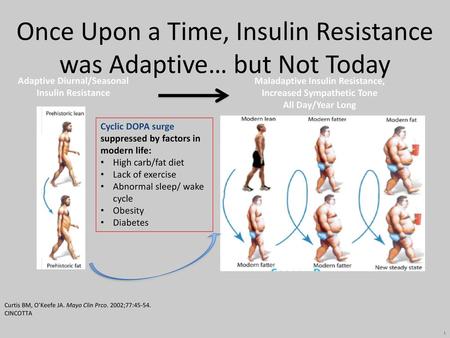 Once Upon a Time, Insulin Resistance was Adaptive… but Not Today