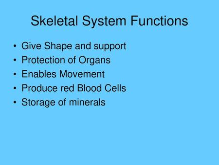 Skeletal System Functions