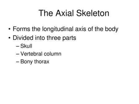 The Axial Skeleton Forms the longitudinal axis of the body