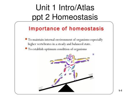 Unit 1 Intro/Atlas ppt 2 Homeostasis