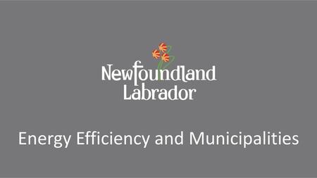 Energy Efficiency and Municipalities