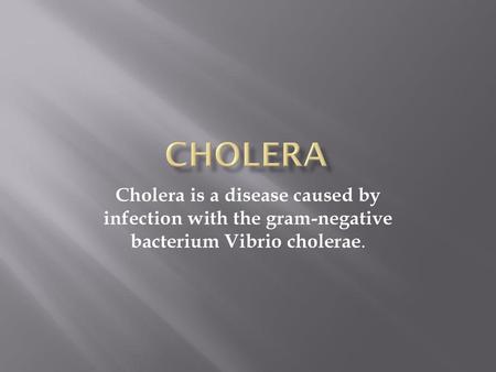 Cholera Cholera is a disease caused by infection with the gram-negative bacterium Vibrio cholerae.