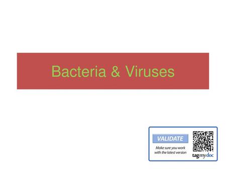 Bacteria & Viruses.