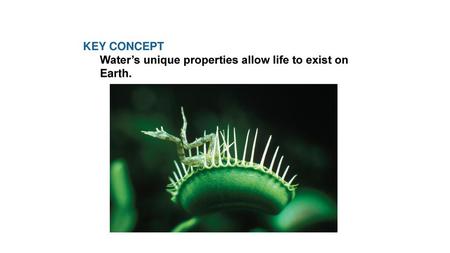 KEY CONCEPT  Water’s unique properties allow life to exist on Earth.