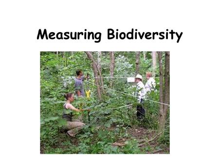 Measuring Biodiversity. Measuring Biodiversity: Species Diversity Two main aspects: species richness and species abundance Species richness = the number.