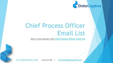 Chief Process Officer  List Rise in the market with Chief Process Officer  listChief Process Officer  list